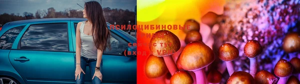 каннабис Белокуриха
