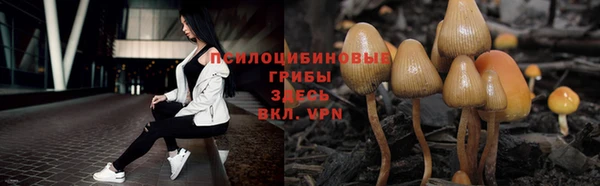 первитин Белоозёрский