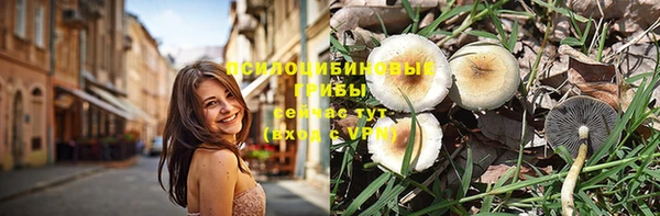 каннабис Белокуриха