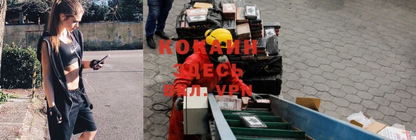каннабис Белокуриха
