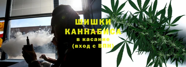 каннабис Белокуриха