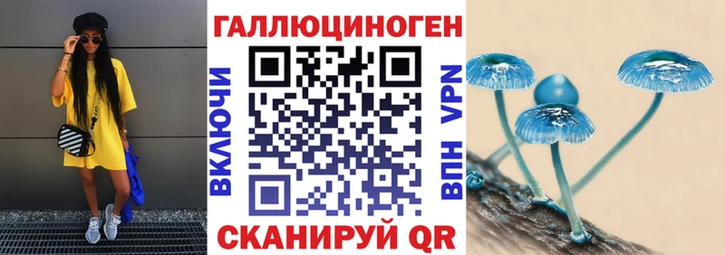 гидра зеркало  Кстово  Галлюциногенные грибы Psilocybine cubensis 